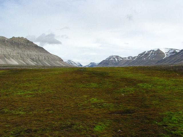 gipsdalen_19thjuly 028.jpg - Au Svalbard, plus de 1000 espèces d'invertébrés ont été inventoriés mais sur une petite portion de l'archipel. En réalité combien d'espèces sont présentes? Pour compléter cet inventaire du vivant, nous avons échantillonné dans des milieux variés, toundra ...